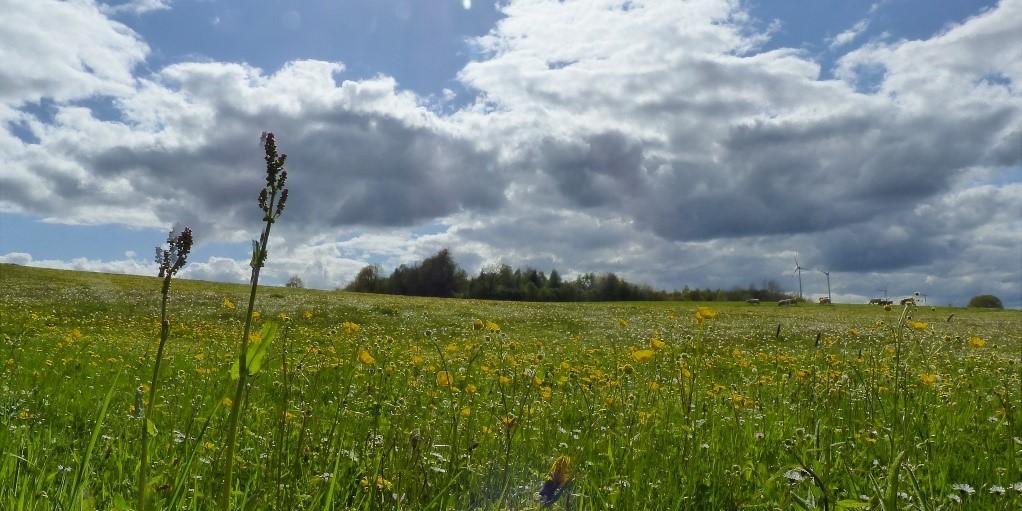 Da berühren sich Himmel und Erde