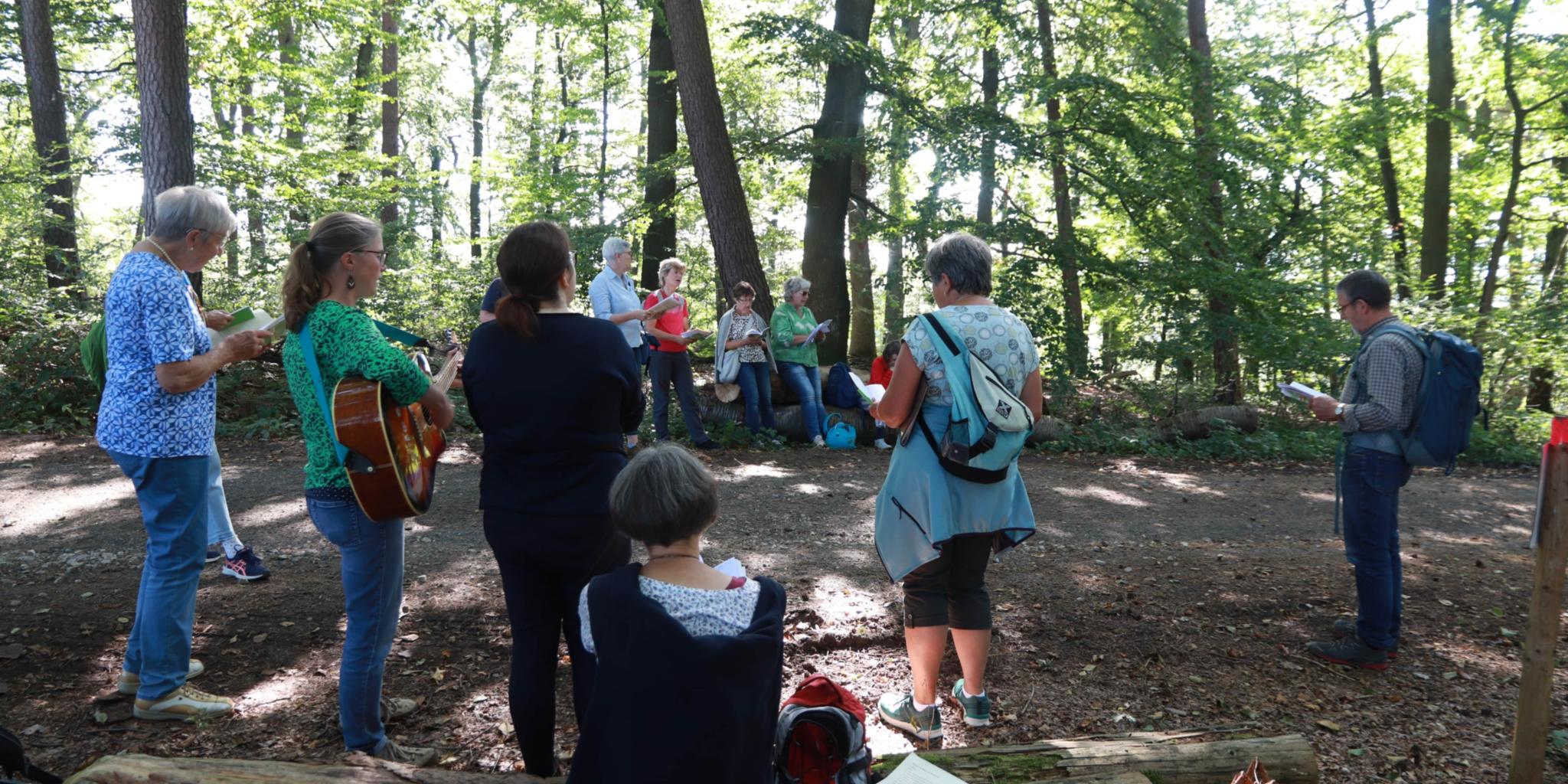 Station im Wald